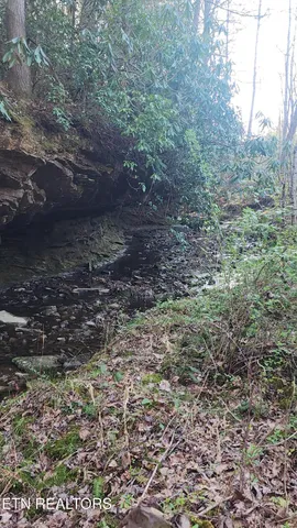 $115,000 | 407 Ramsey Road, Winfield, TN 37892