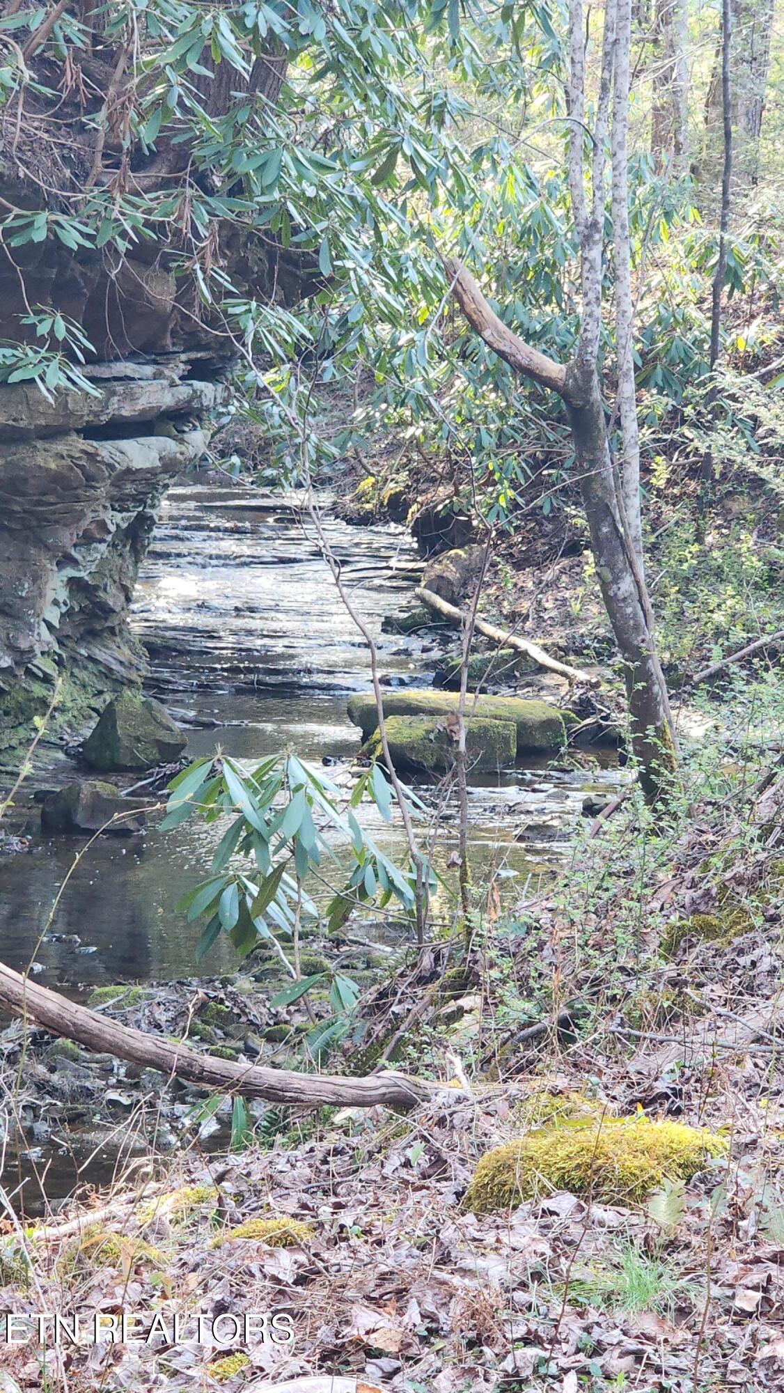 407 Ramsey Road Winfield, TN 37892 - Photo 30 of 33 20240321_174554