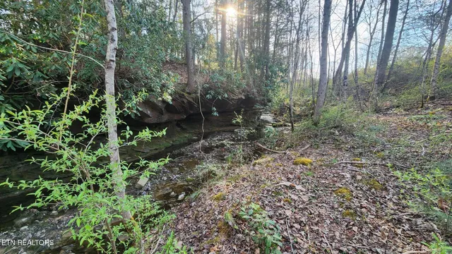 $115,000 | 407 Ramsey Road, Winfield, TN 37892