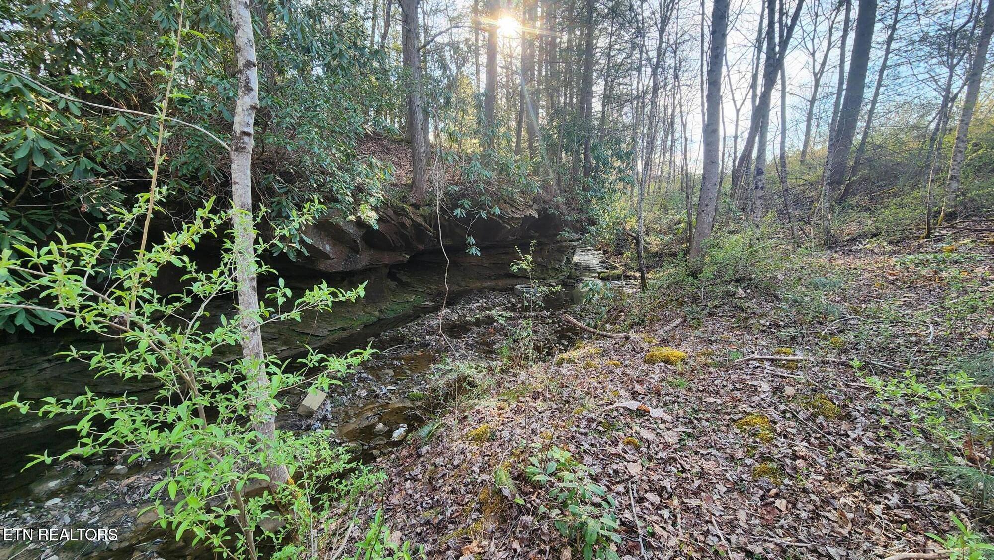 407 Ramsey Road Winfield, TN 37892 - Photo 31 of 33 20240321_174608