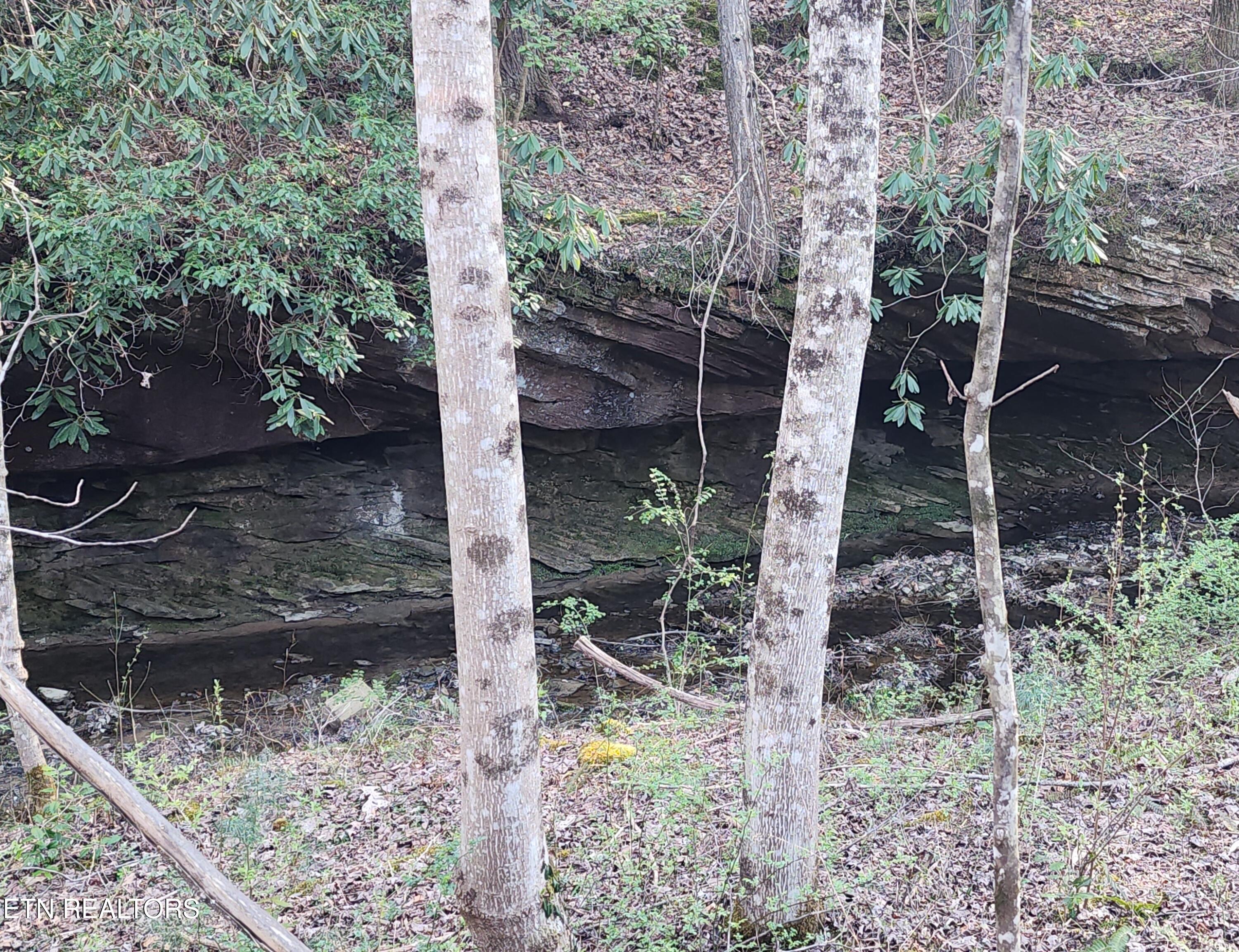 407 Ramsey Road Winfield, TN 37892 - Photo 32 of 33 20240321_174720