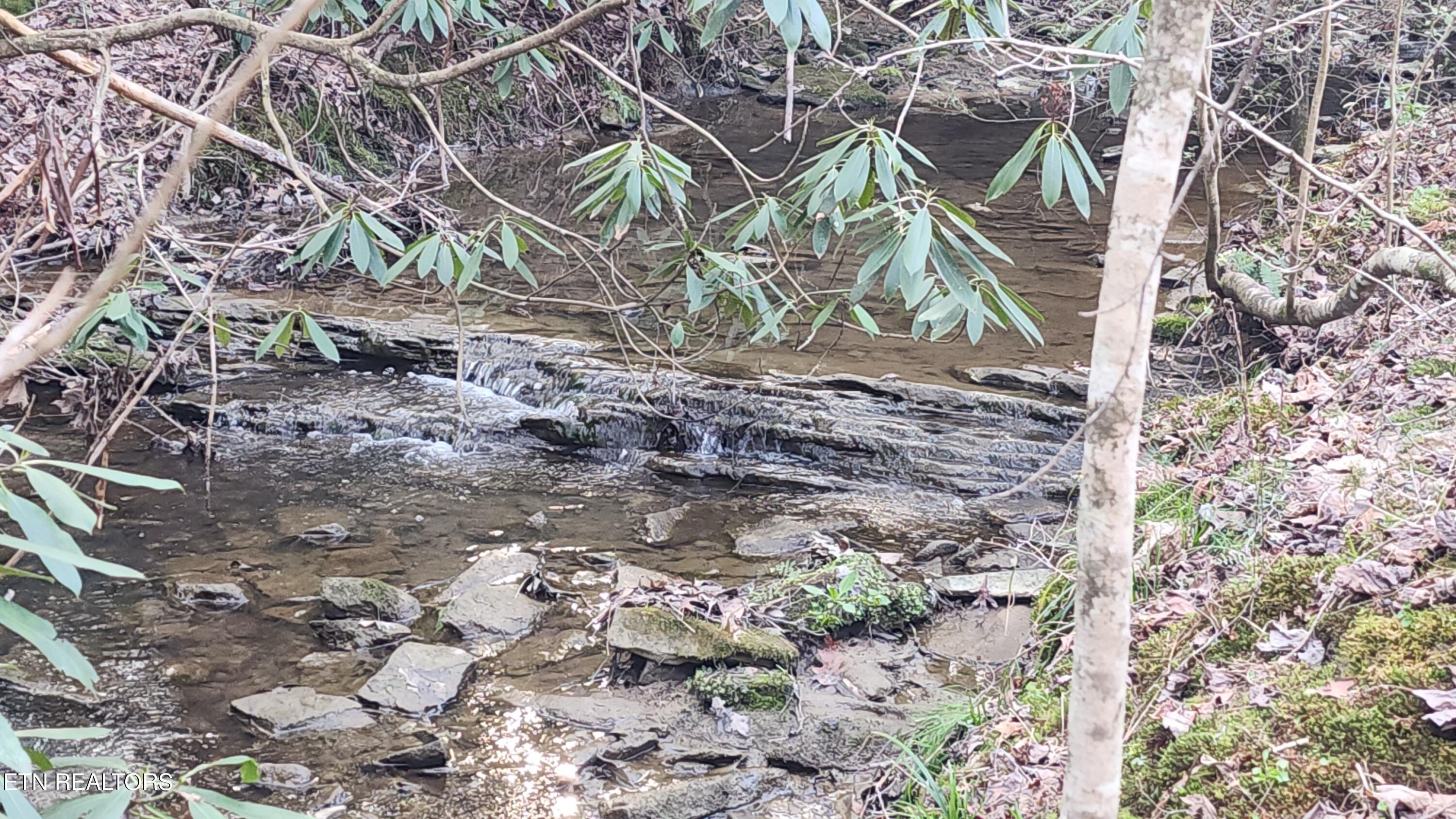 407 Ramsey Road Winfield, TN 37892 - Photo 5 of 33 20240321_174005