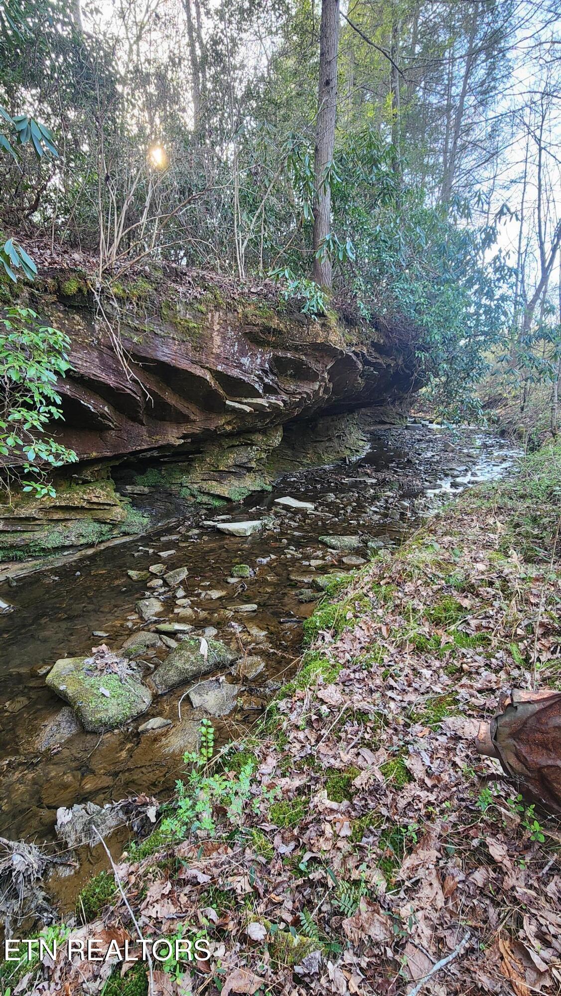 407 Ramsey Road Winfield, TN 37892 - Photo 6 of 33 20240321_174314