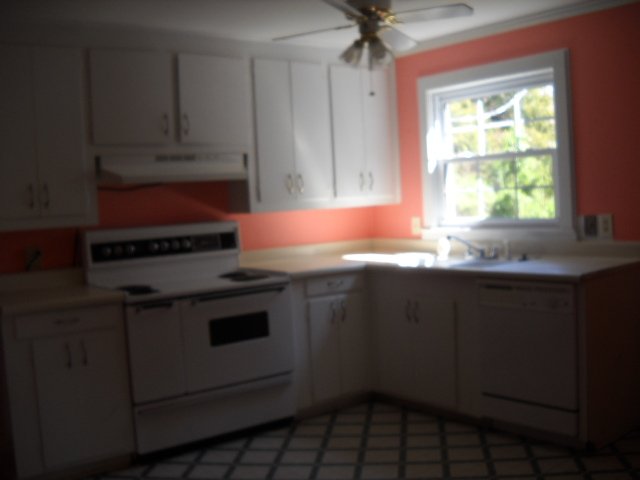 220 Sammons Road Taylors, SC 29687 - Photo 8 of 14
