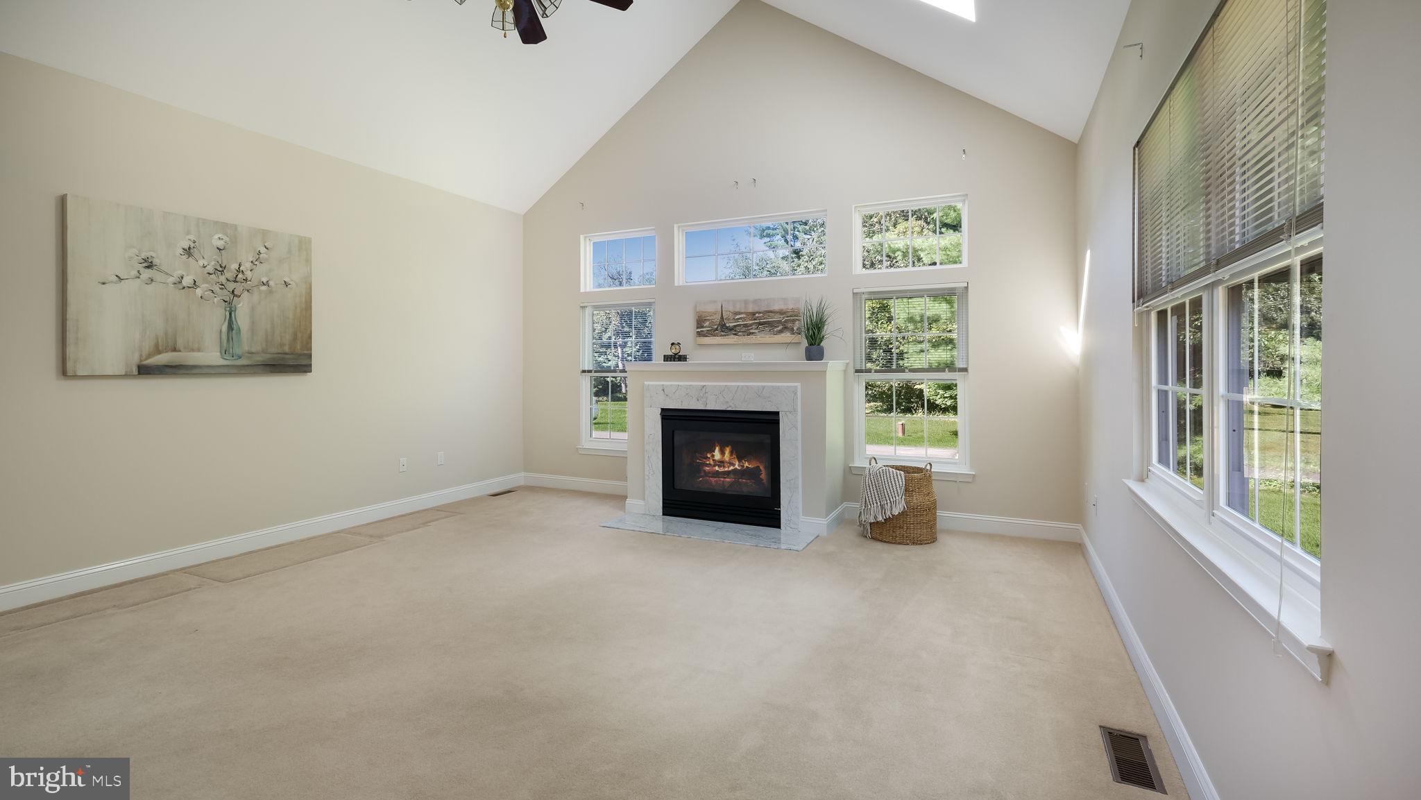 2529 Furlong Road Furlong, PA 18925 - Photo 8 of 16 VAULTED CEILING & SKYLIGHTS