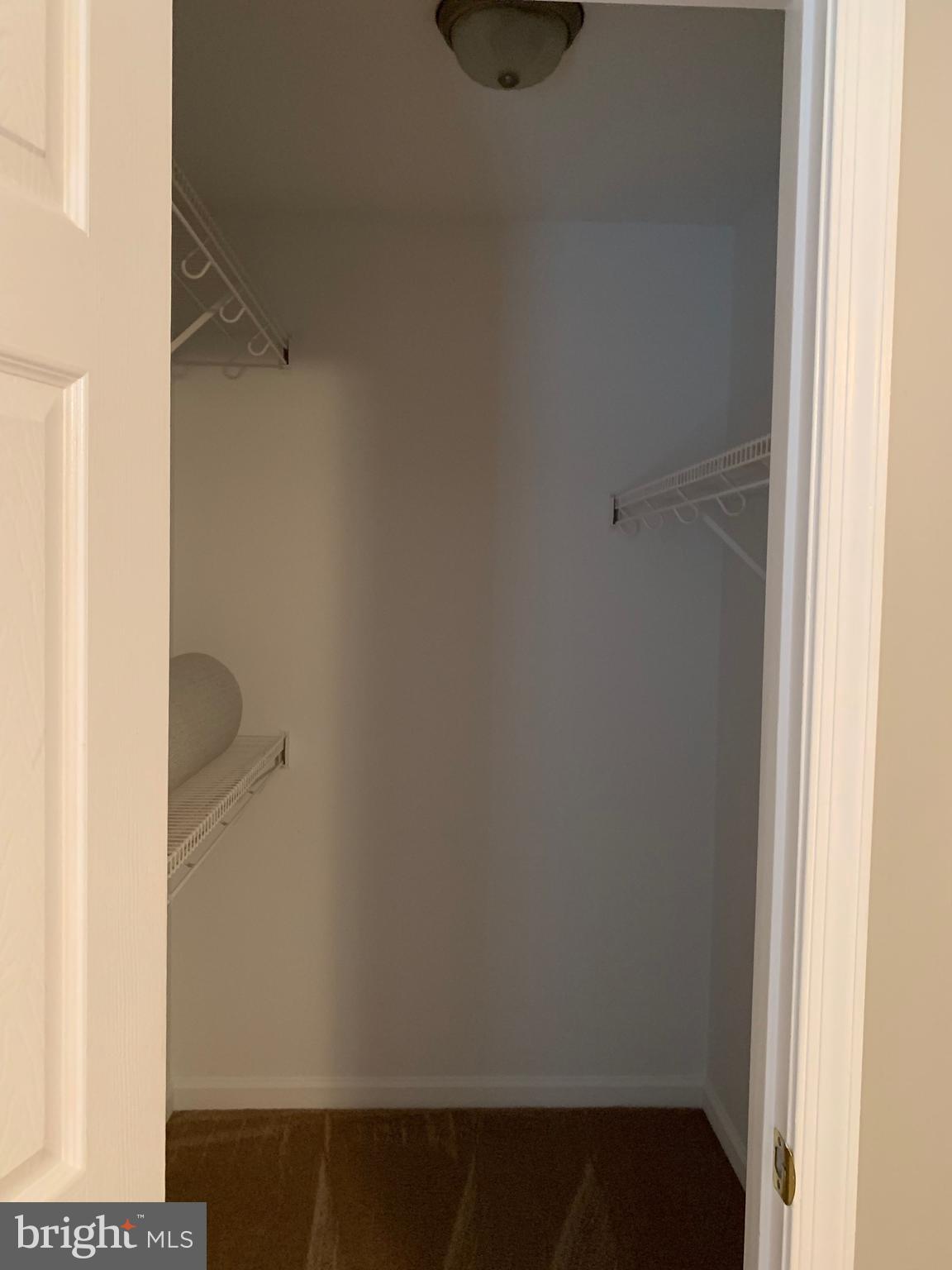 113 North Marshall Street Ranson, WV 25438 - Photo 14 of 20 Master Bedroom walk-in closet built-in shelves