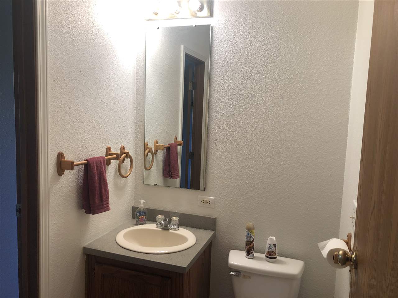 11269 South New Lothrop Road Durand, MI 48429 - Photo 22 of 33 Main Bath