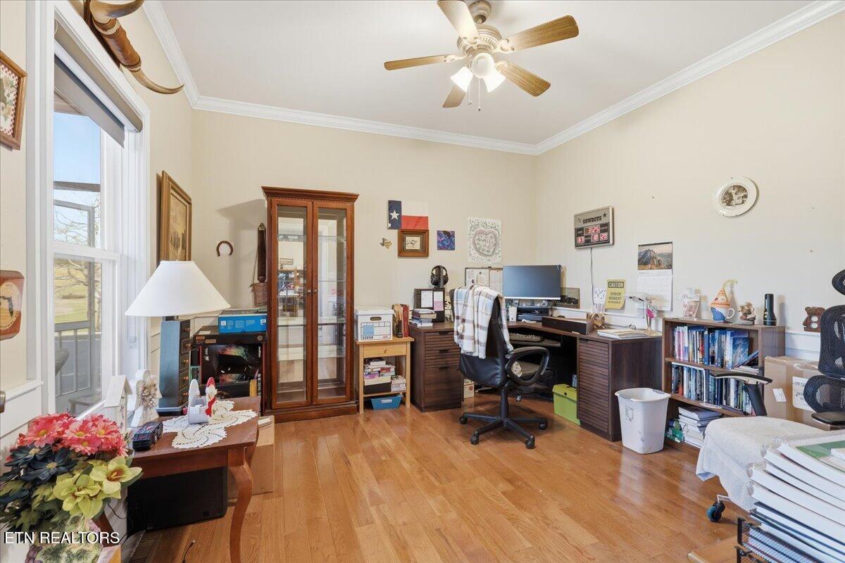 120 County Line Road Dandridge, TN 37725 - Photo 18 of 30 18-013_7K9A3483