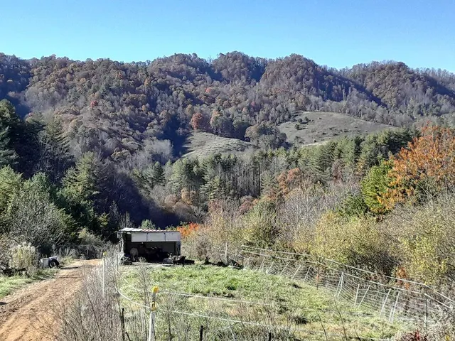 $696,500 | 2200 Walnut Creek Road, Marshall, NC 28753