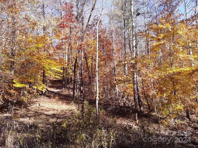 $696,500 | 2200 Walnut Creek Road, Marshall, NC 28753