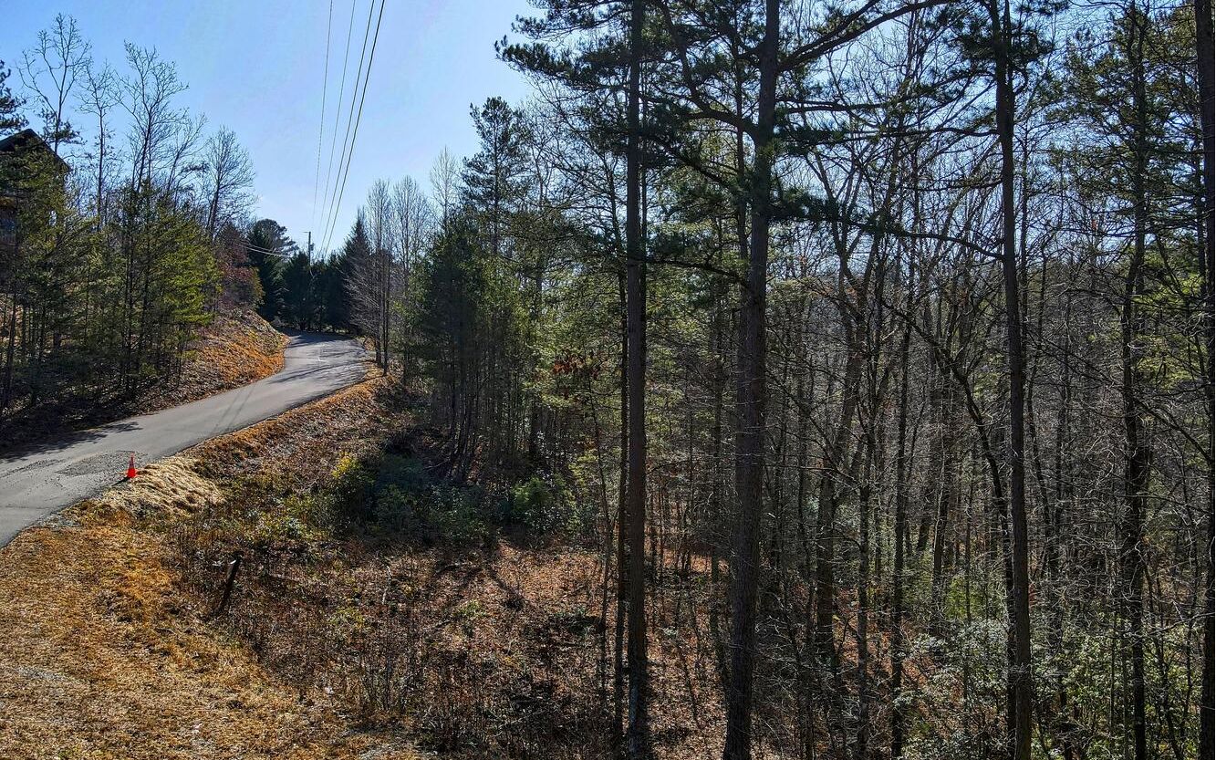 Lt365 North Dream Catcher Blue Ridge, GA 30513 - Photo 1 of 4 Main View