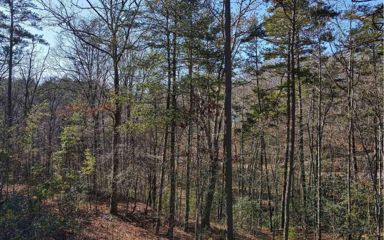 Lt365 North Dream Catcher Blue Ridge, GA 30513 - Photo 2 of 4 Additional View