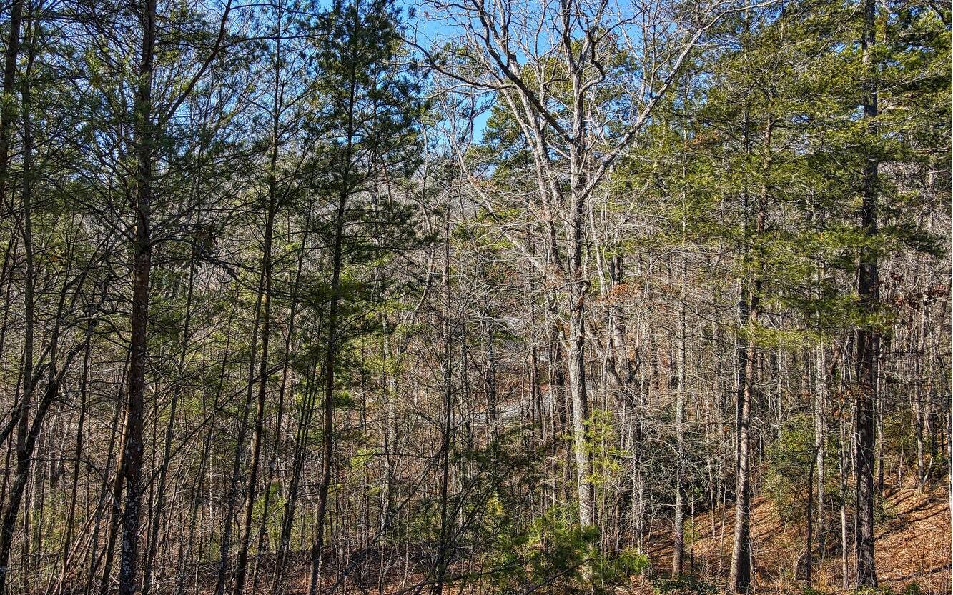 Lt365 North Dream Catcher Blue Ridge, GA 30513 - Photo 4 of 4 Additional View