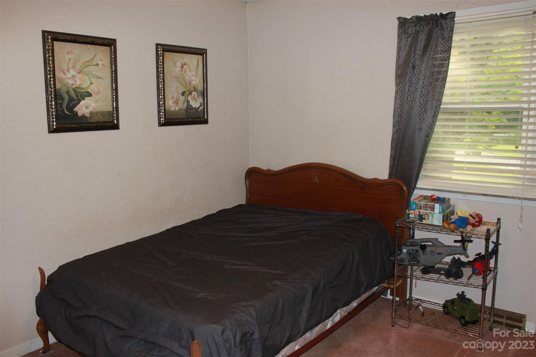 901 Coopers Gap Road Rutherfordton, NC 28139 - Photo 26 of 47 a bedroom with a bed and window