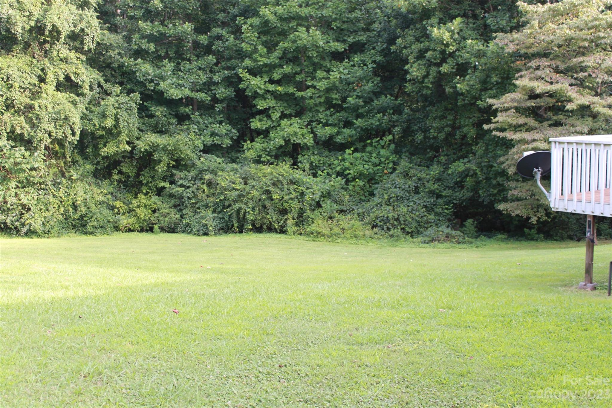 901 Coopers Gap Road Rutherfordton, NC 28139 - Photo 43 of 47 a view of an ocean from a yard