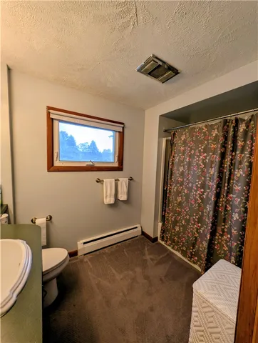 $170,000 | 44 Spruce Street, Hornell, NY 14843