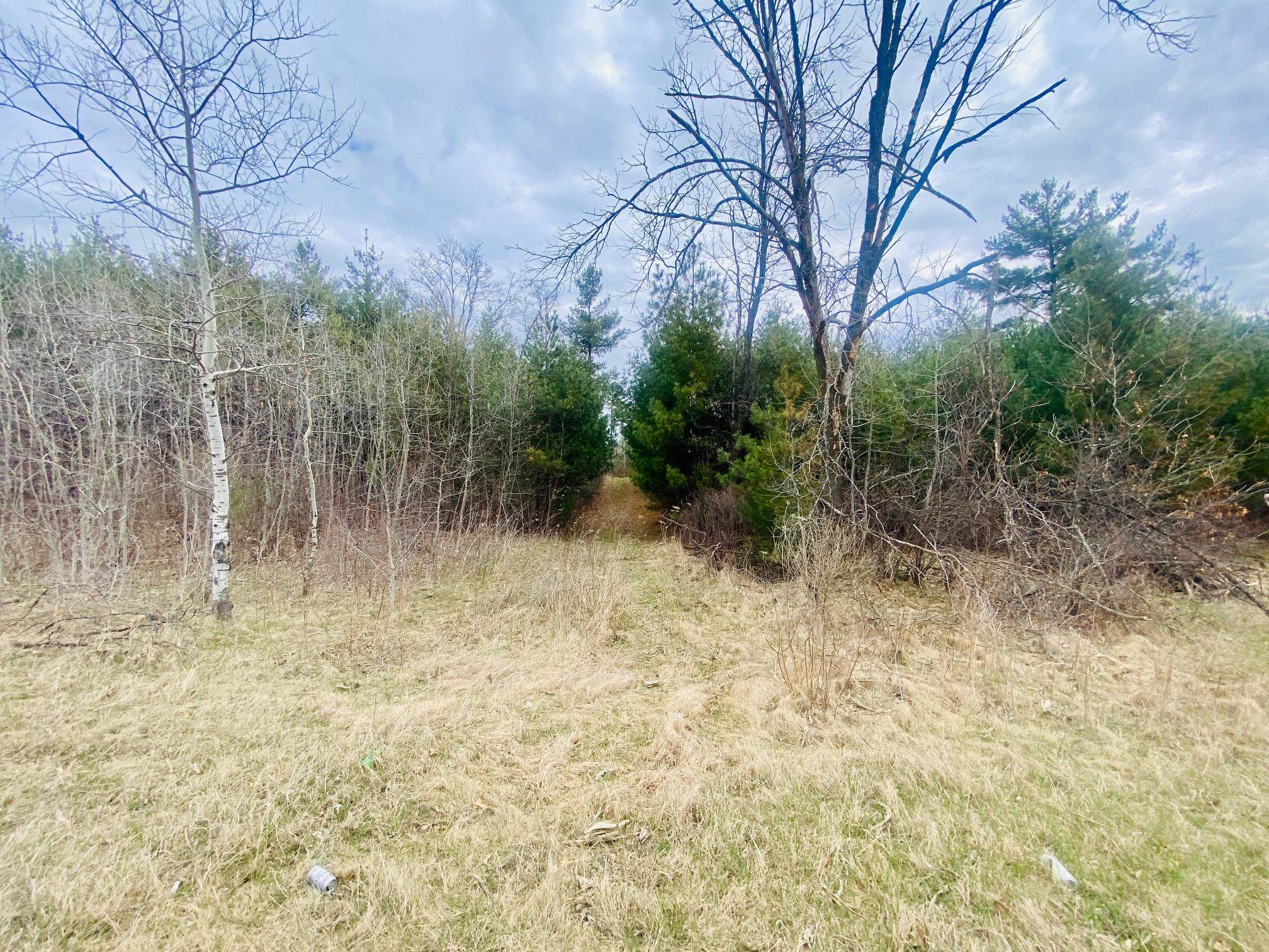 42.53 A County Rd Q Amherst, WI 54406 - Photo 11 of 52