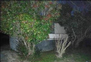 467 County Farm Road Madisonville, TN 37354 - Photo 6 of 29 6