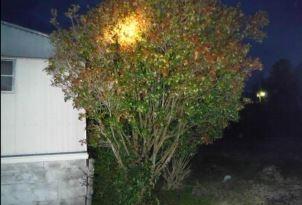 467 County Farm Road Madisonville, TN 37354 - Photo 7 of 29 7