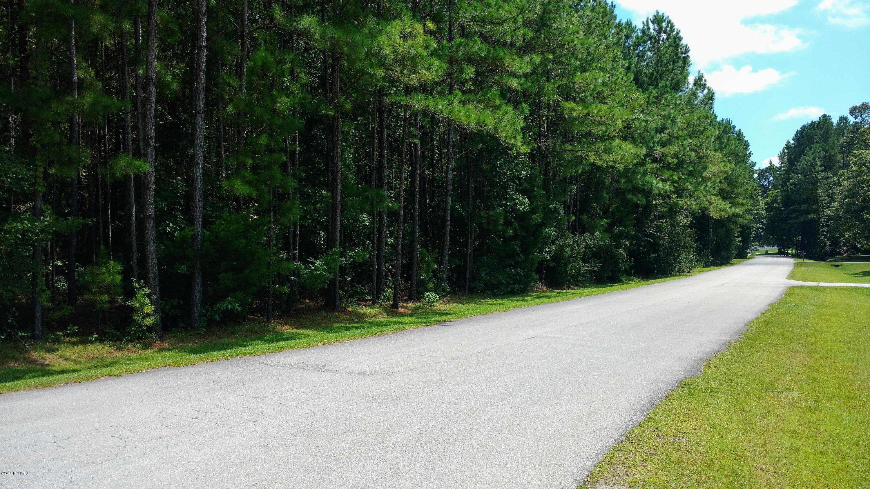 0 Nottingham Road Jacksonville, NC 28546 - Photo 2 of 3 IMG_20170816_141358960