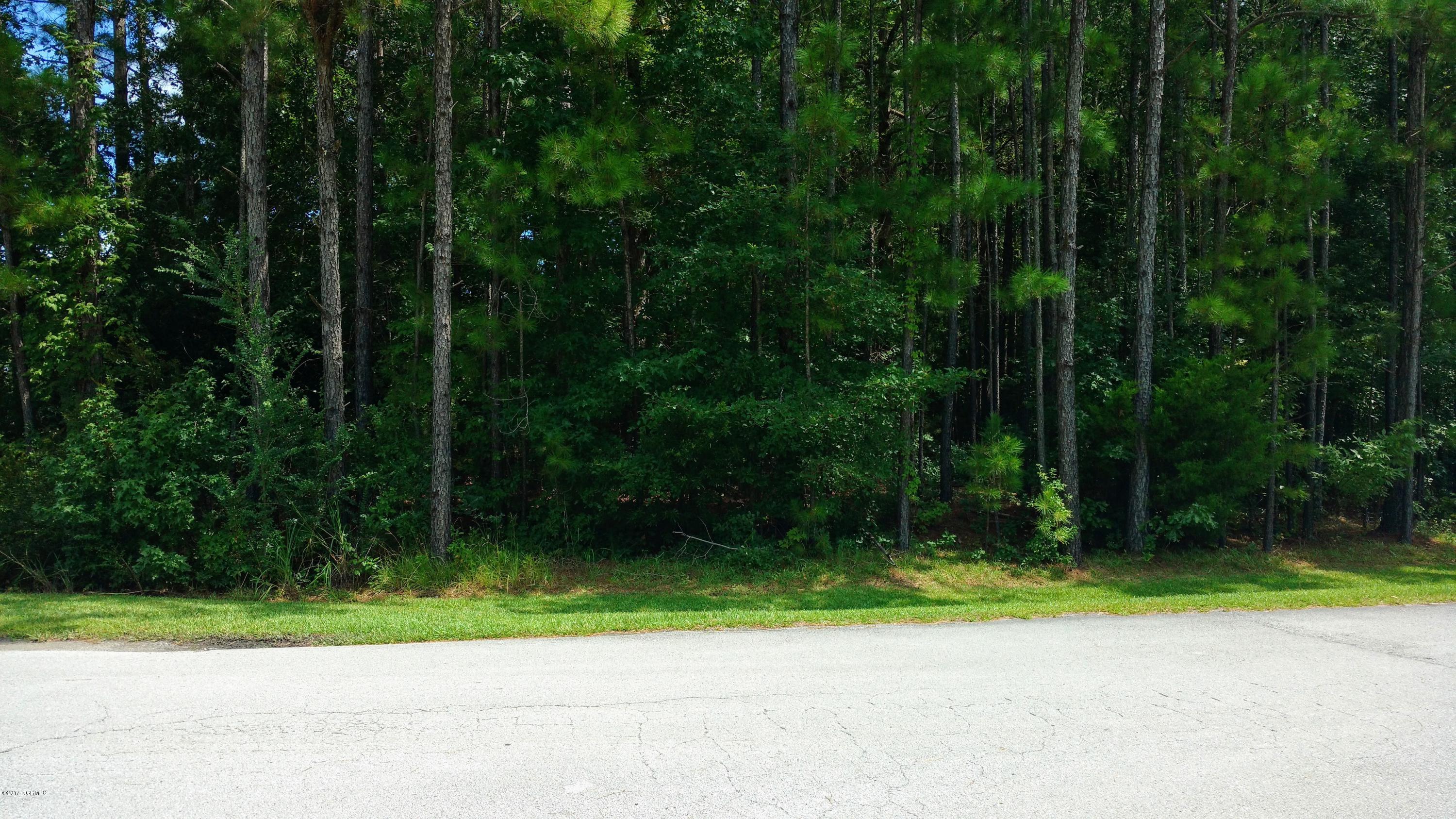 0 Nottingham Road Jacksonville, NC 28546 - Photo 3 of 3 IMG_20170816_141402227
