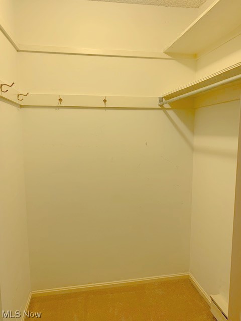 2385 Covington Road, Unit 302 Akron, OH 44313 - Photo 10 of 19 Walk in closet featuring carpet flooring