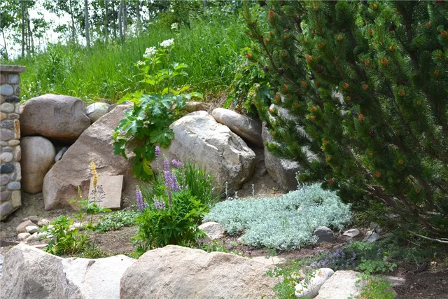 $1,049,000 | 26715 Neptune Place, Clark, CO 80428