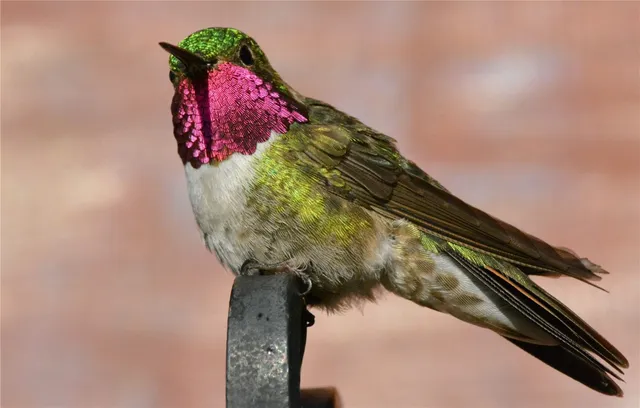 $1,049,000 | 26715 Neptune Place, Clark, CO 80428