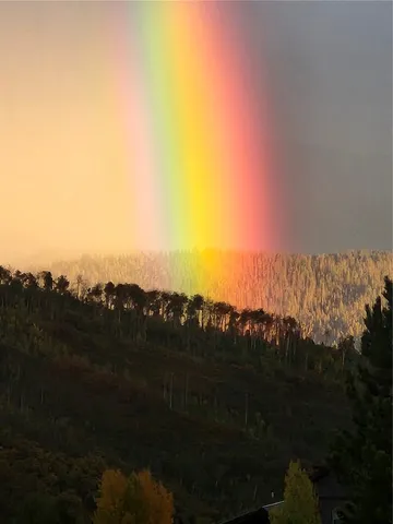 $1,049,000 | 26715 Neptune Place, Clark, CO 80428