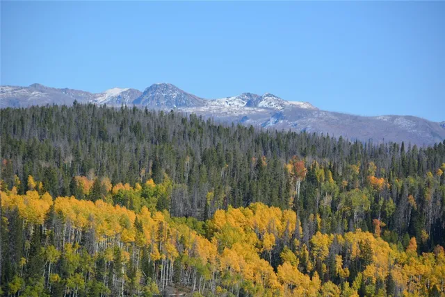 $1,049,000 | 26715 Neptune Place, Clark, CO 80428