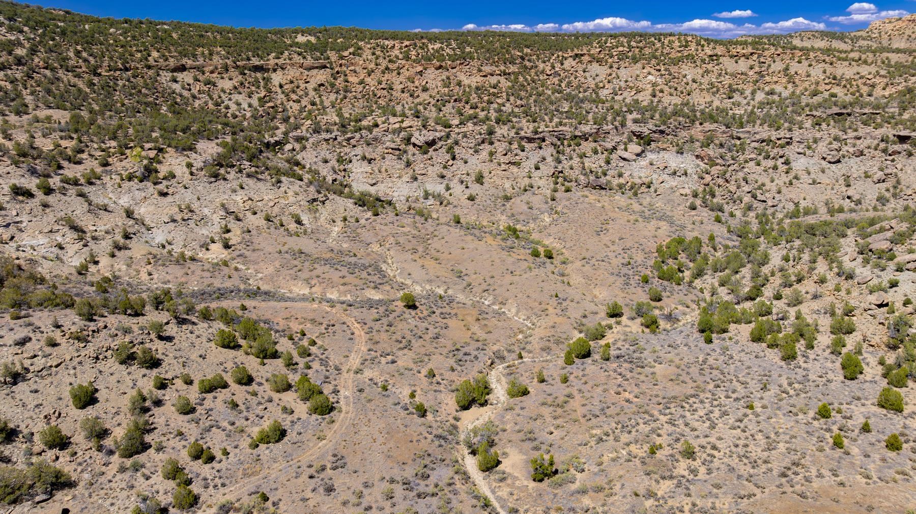 65 Highway 65 De Beque, CO 81630 - Photo 1 of 31