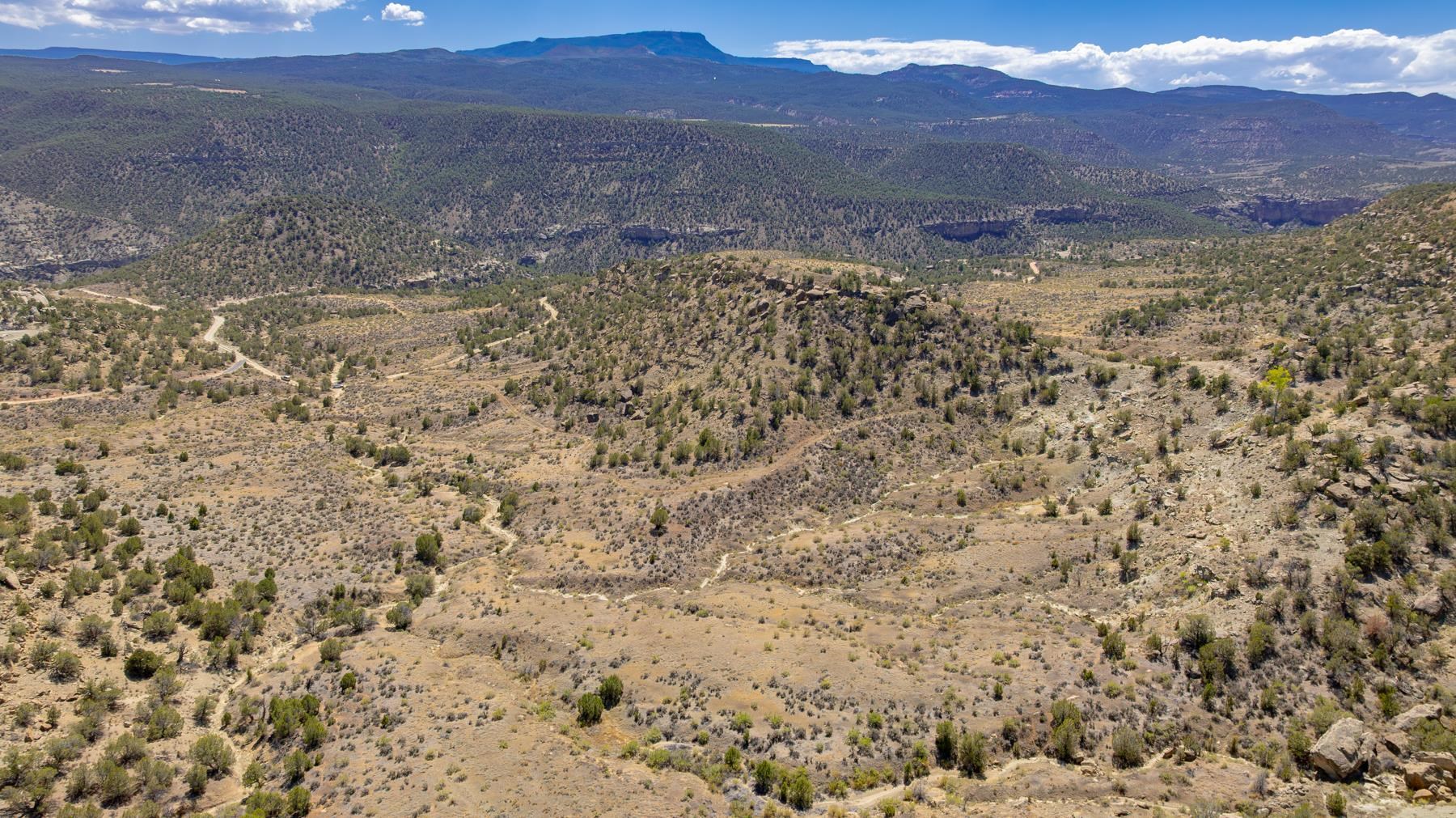 65 Highway 65 De Beque, CO 81630 - Photo 12 of 31