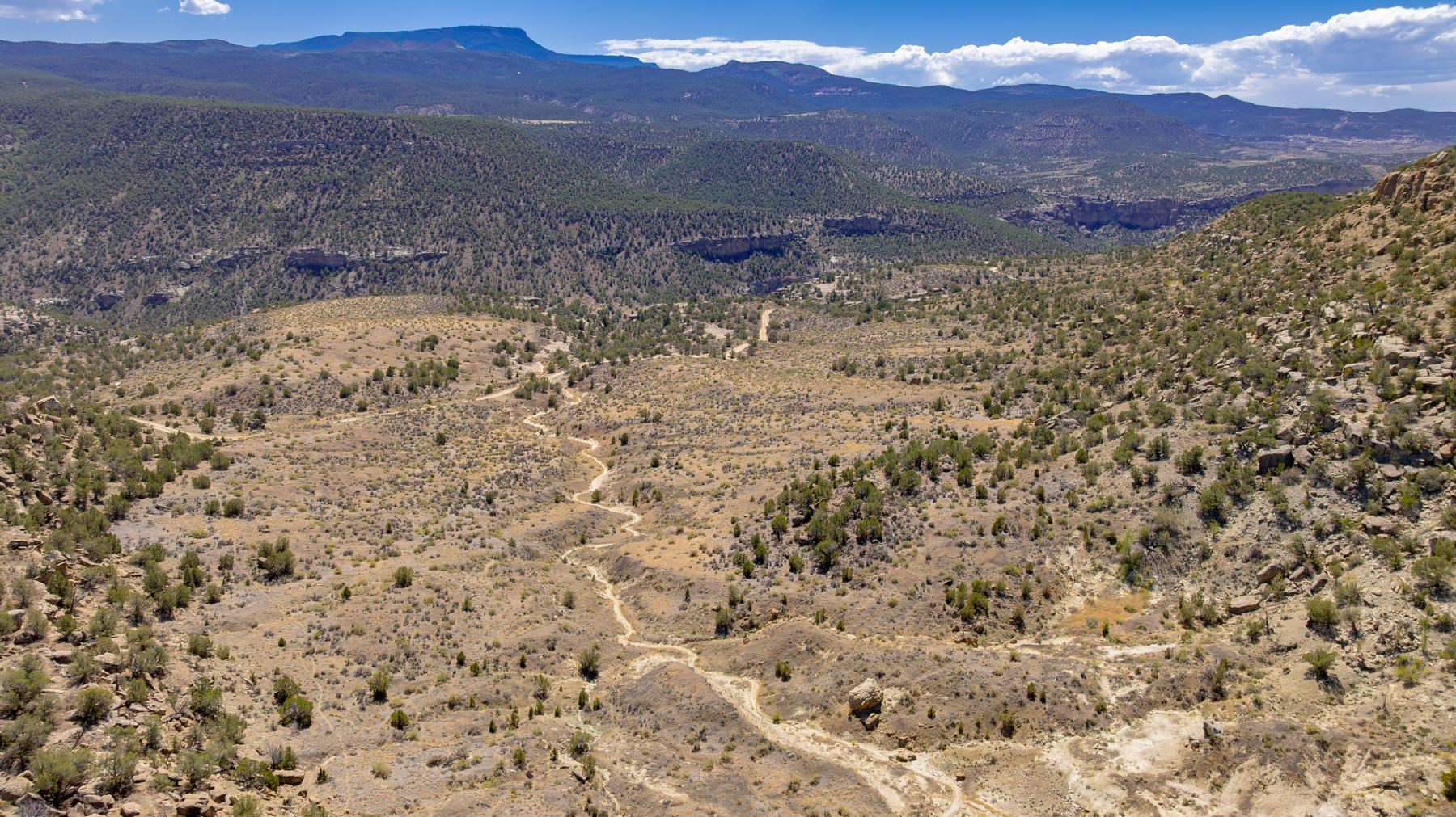 65 Highway 65 De Beque, CO 81630 - Photo 13 of 31