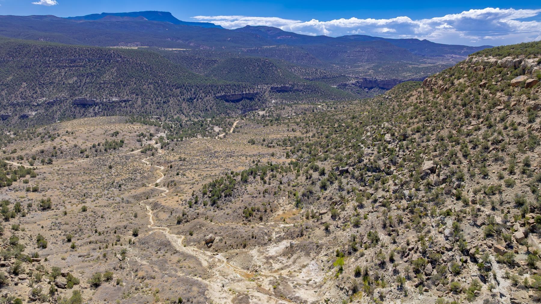 65 Highway 65 De Beque, CO 81630 - Photo 16 of 31
