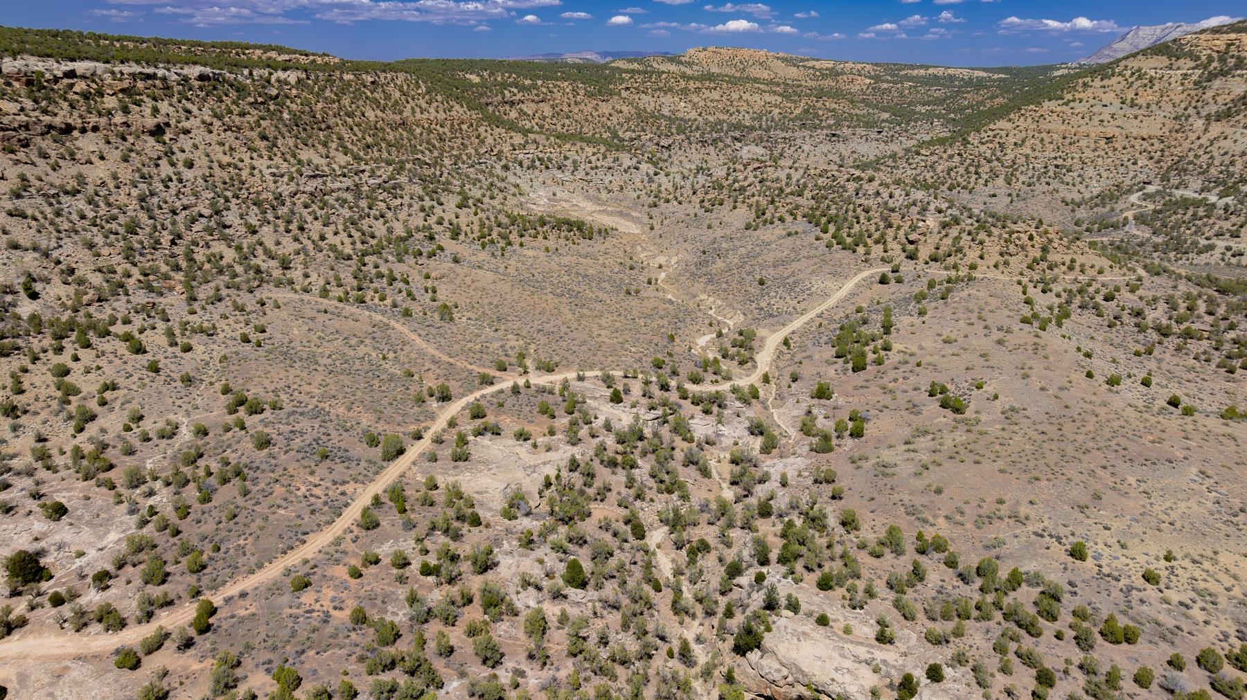 65 Highway 65 De Beque, CO 81630 - Photo 21 of 31
