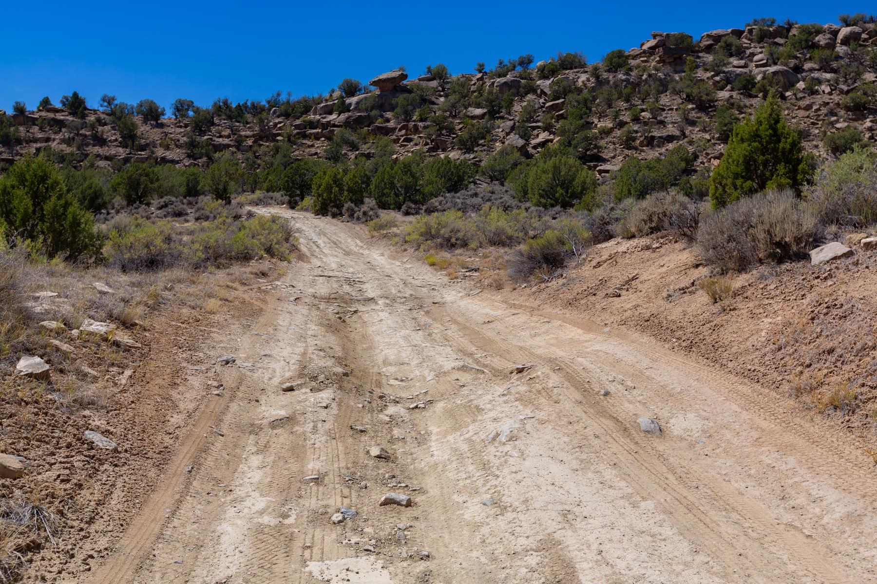 65 Highway 65 De Beque, CO 81630 - Photo 4 of 31