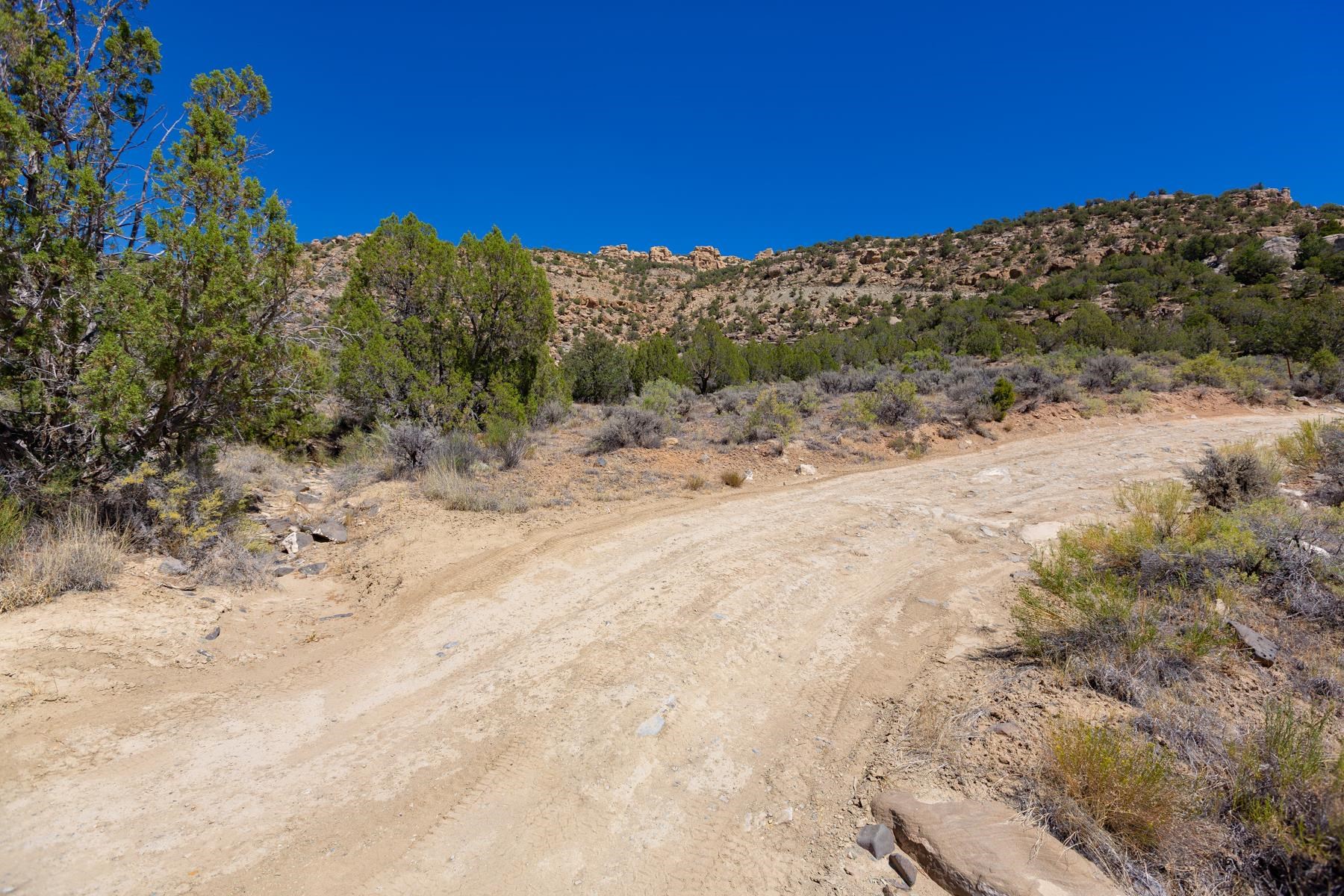 65 Highway 65 De Beque, CO 81630 - Photo 6 of 31