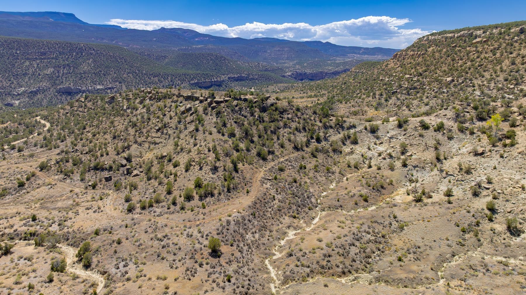 65 Highway 65 De Beque, CO 81630 - Photo 9 of 31
