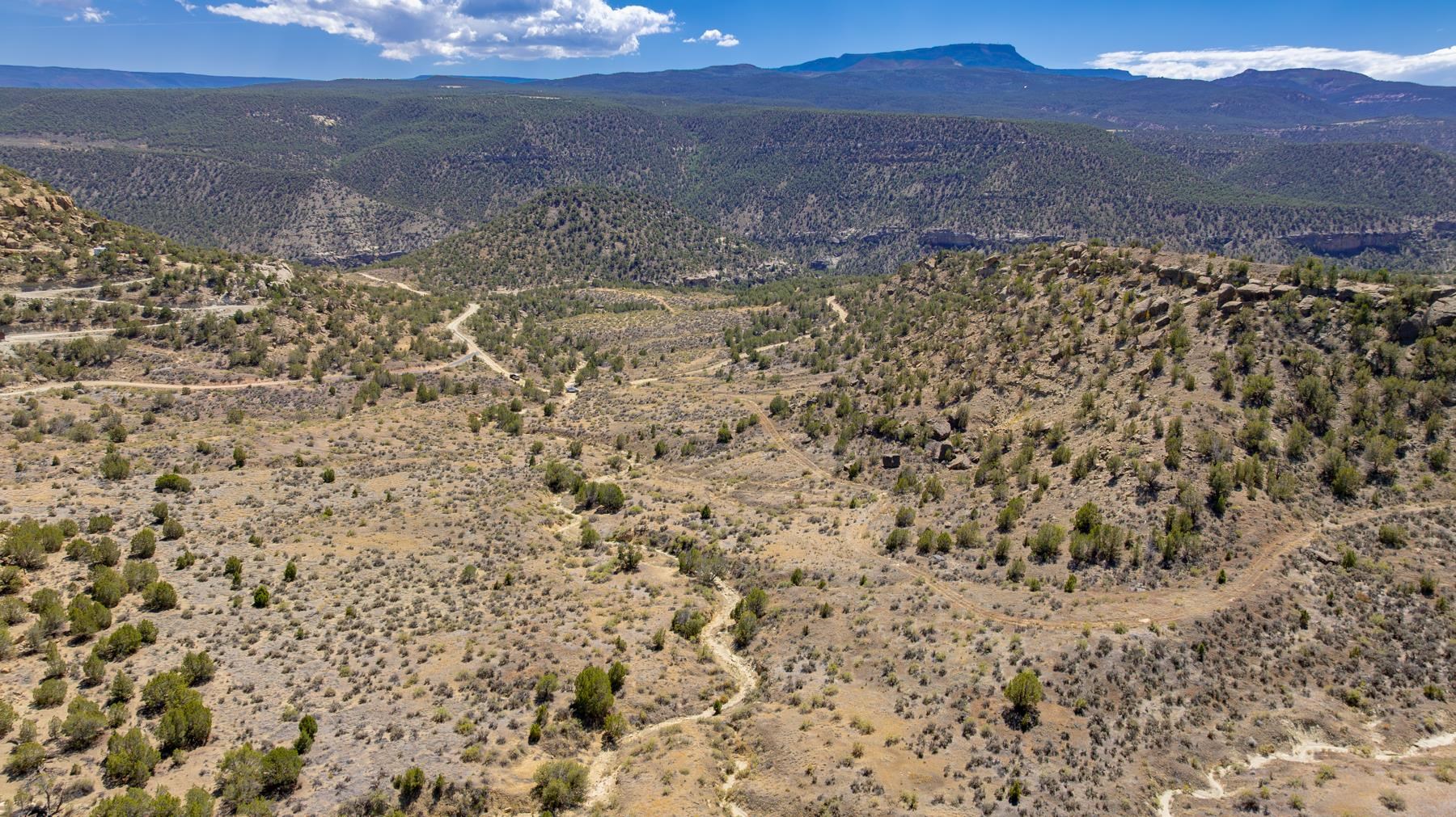 65 Highway 65 De Beque, CO 81630 - Photo 10 of 31