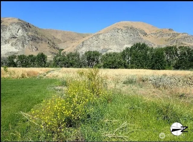 a view of an aerial view of mountain with trees in the background