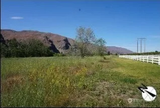 a view of a lush green space with sea