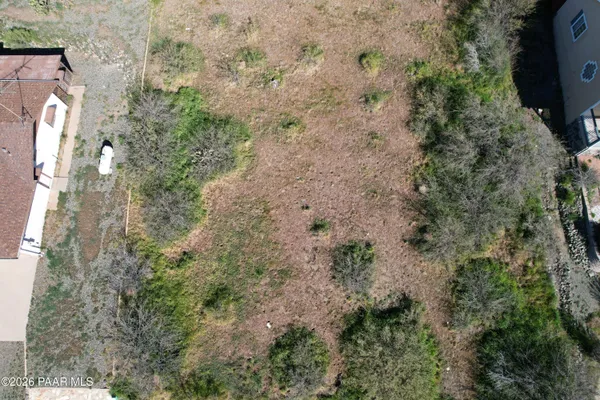 a view of a yard with trees