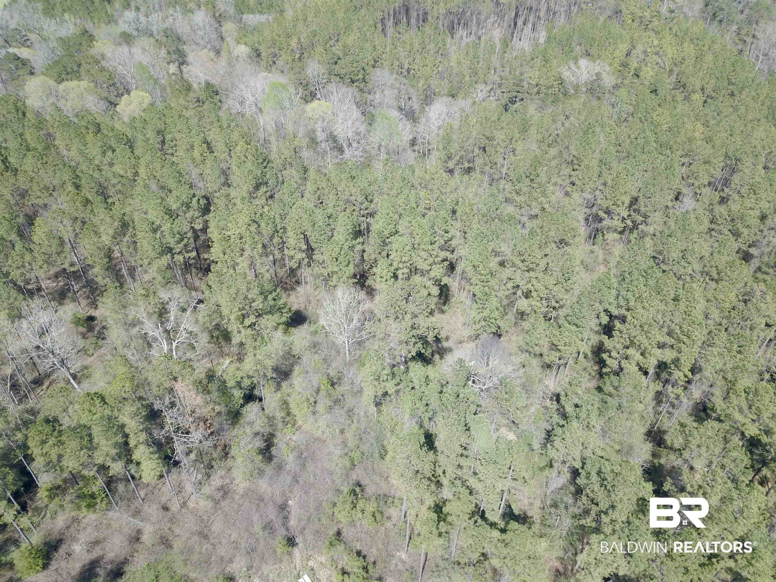8557 County Road 34 Millry, AL 36558 - Photo 14 of 36 Aerial view featuring a wooded view