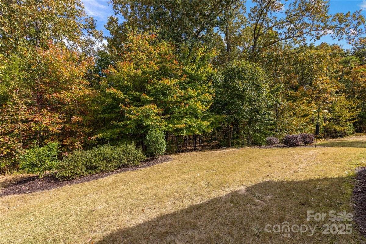 2056 Kennedy Drive Fort Mill, SC 29707 - Photo 38 of 45 a view of empty yard with large trees