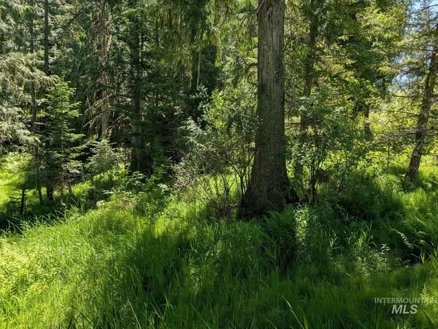 $148,000 | Parcel C Parcel C Corner, Kamiah, ID 83536