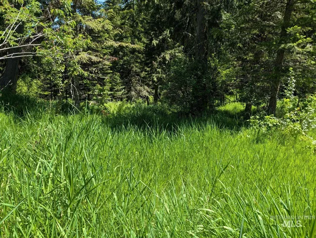 $148,000 | Parcel C Parcel C Corner, Kamiah, ID 83536