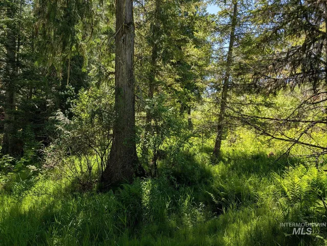 $148,000 | Parcel C Parcel C Corner, Kamiah, ID 83536