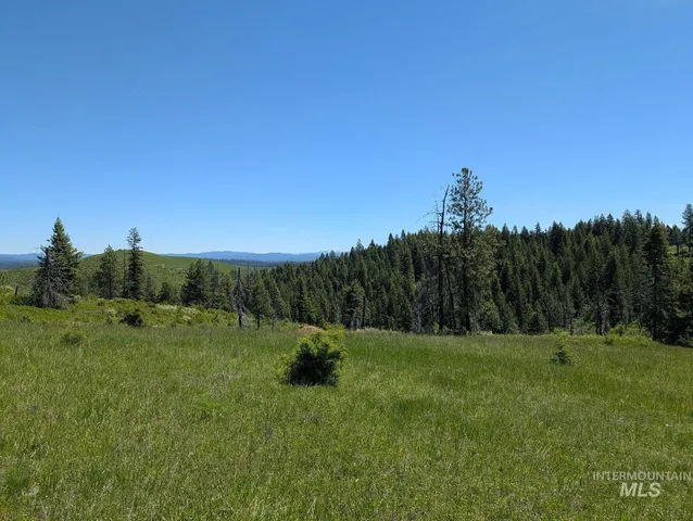 $148,000 | Parcel C Parcel C Corner, Kamiah, ID 83536