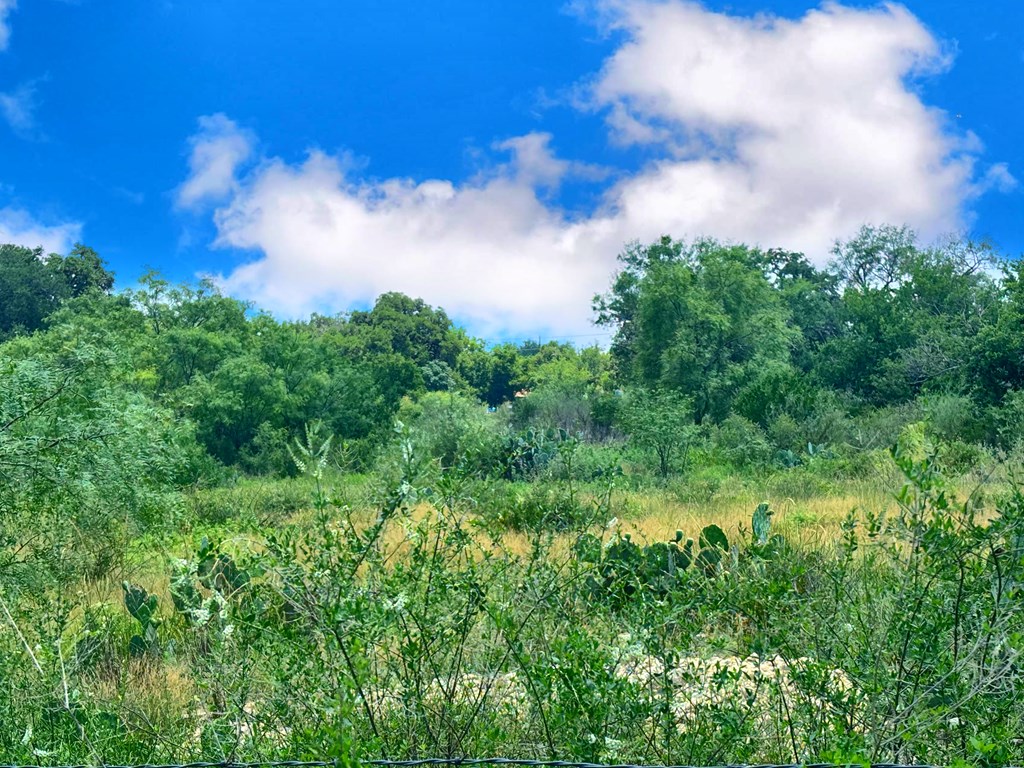 10348 River Road Camp Wood, TX 78833 - Photo 5 of 8