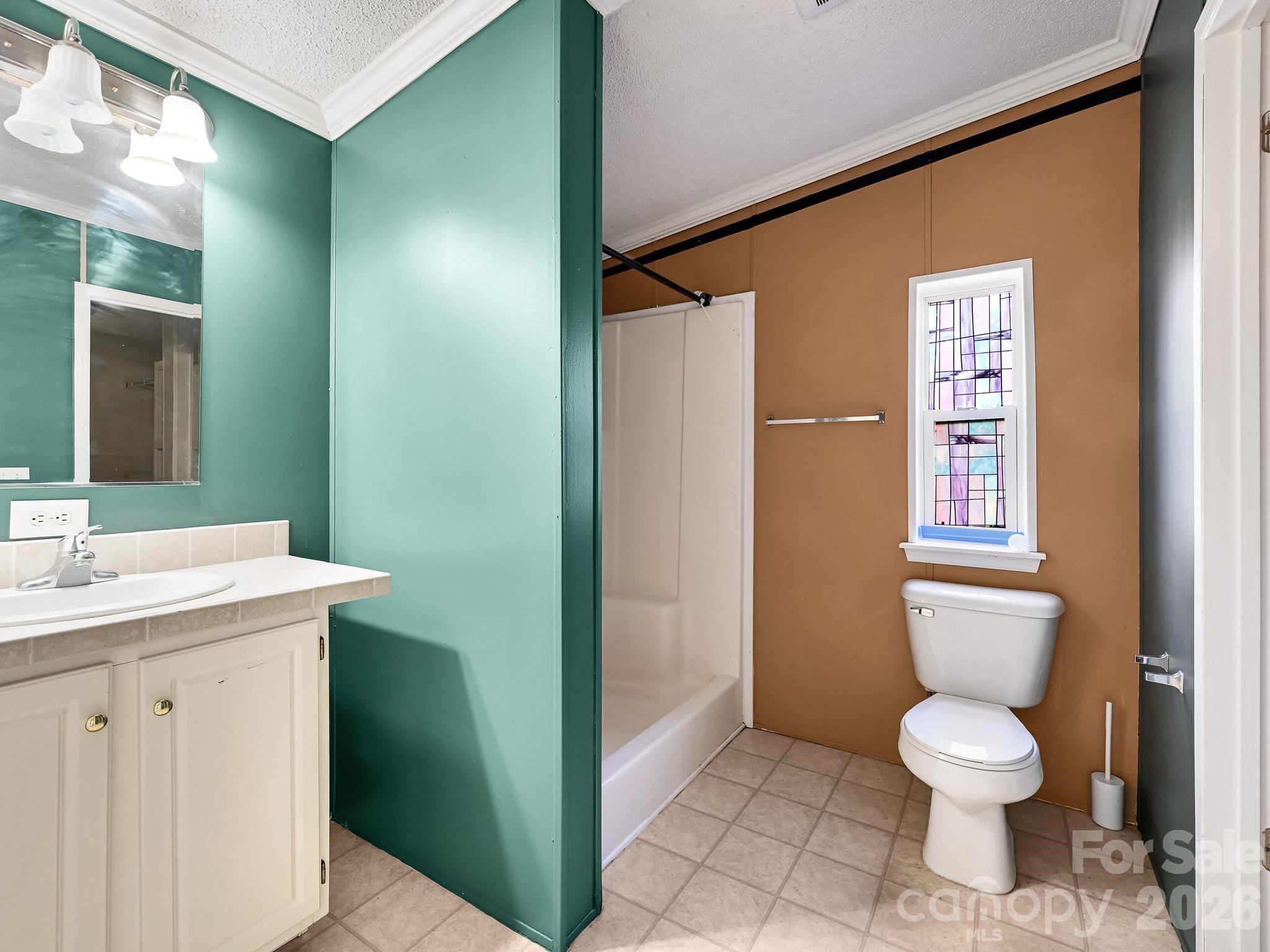 119 Laurel Haven Road Fairview, NC 28730 - Photo 10 of 33 a bathroom with a toilet sink and mirror